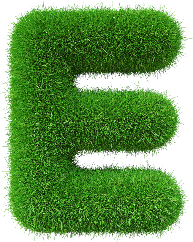 Grass font  E letter Green