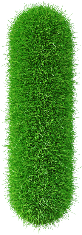 Grass font  I letter Green
