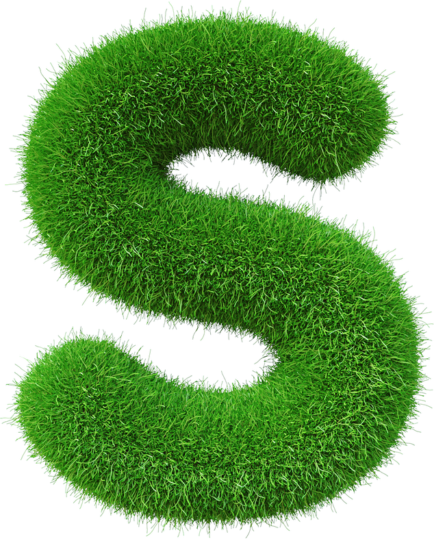 Grass font  S letter Green