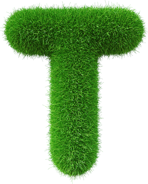 Grass font  T letter Green